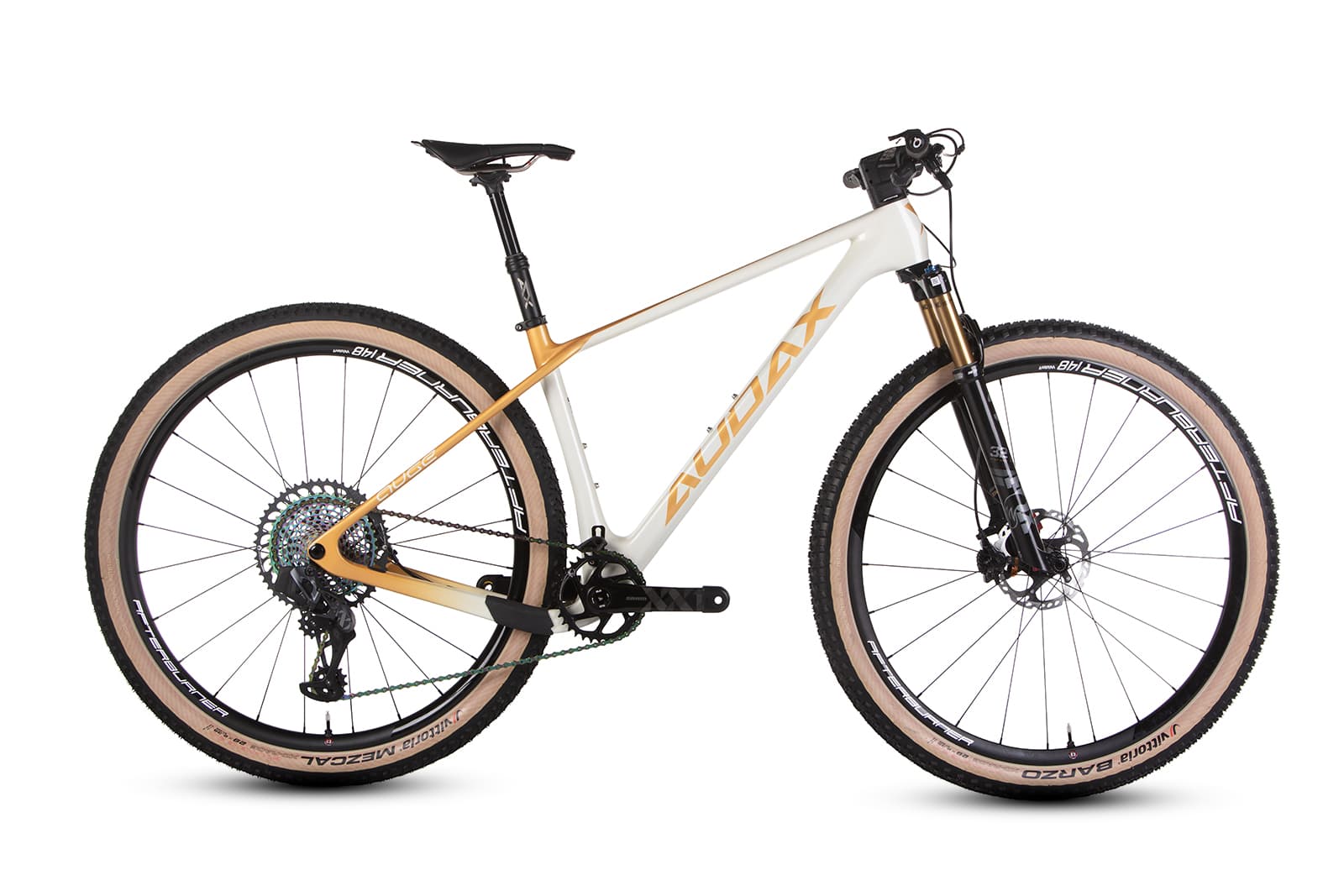 Audax Auge 50
