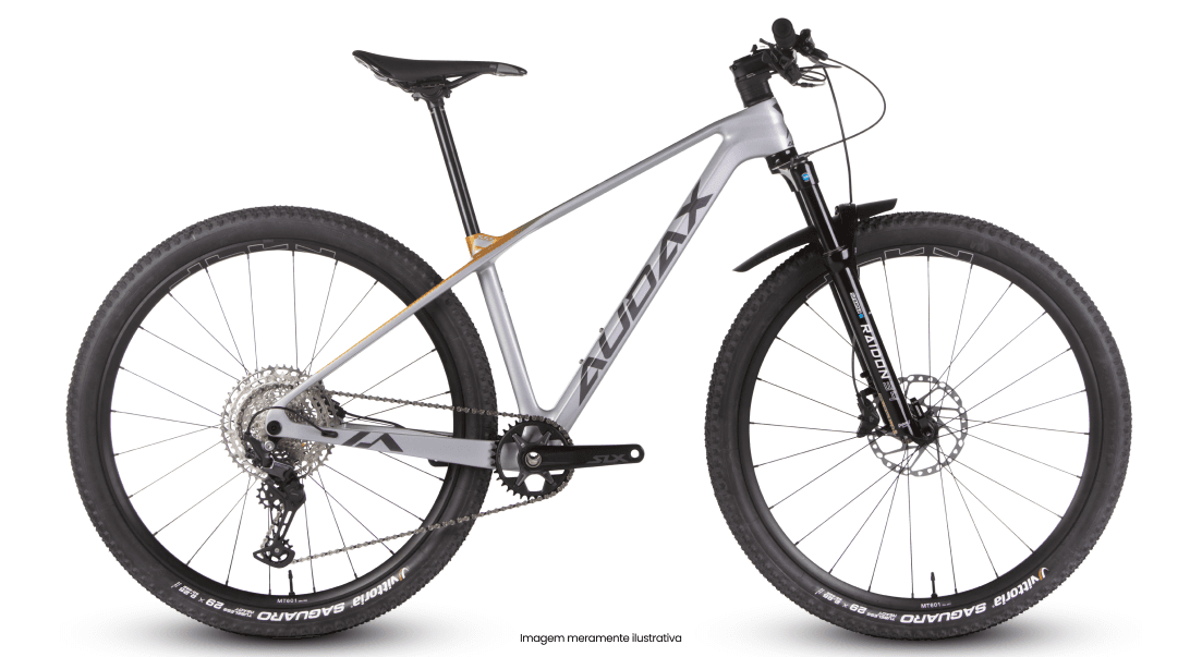 Audax Auge 555