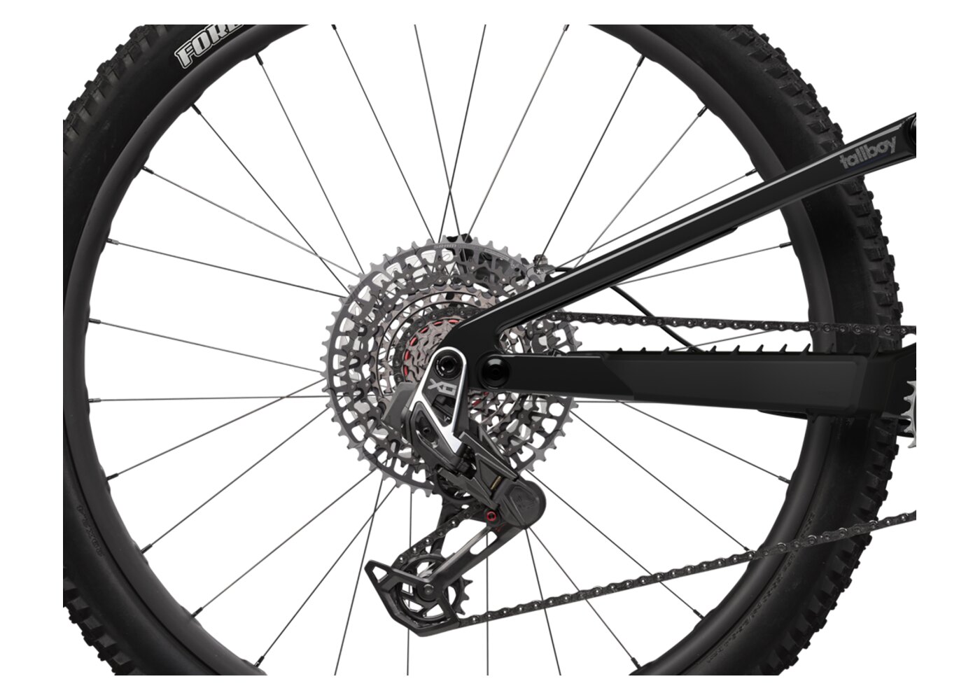 Detalhe do dropout traseiro da Santa Cruz Tallboy 6, com o pivô Horst no chainstay destacado
